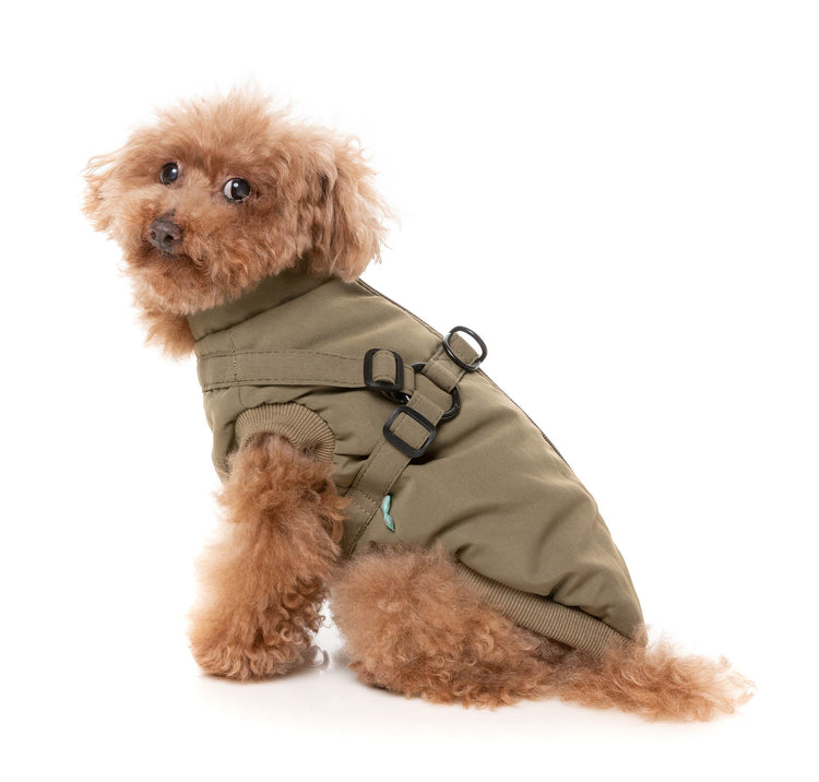 Dog Coats and Sweaters
