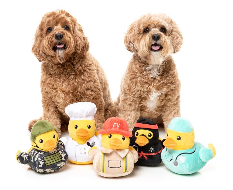 Dog Toys