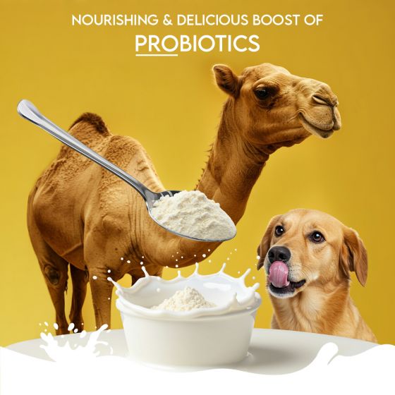 Pawfect Nature's Sip for Dogs Camel Milk (150g)