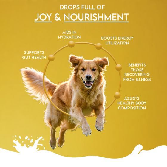 Pawfect Nature's Sip for Dogs Camel Milk (150g)