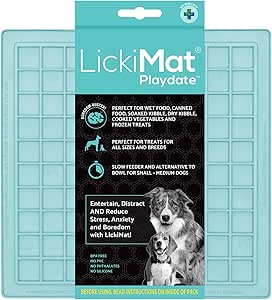 LickiMat PlayDate