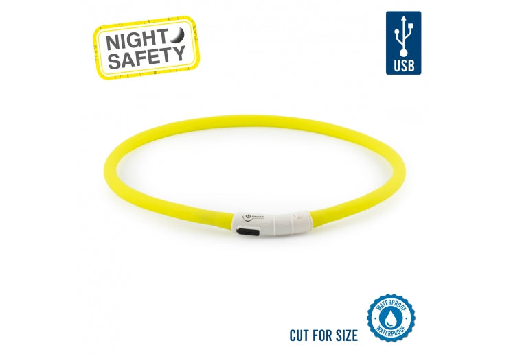 Ancol Rechargeable Flashing Band