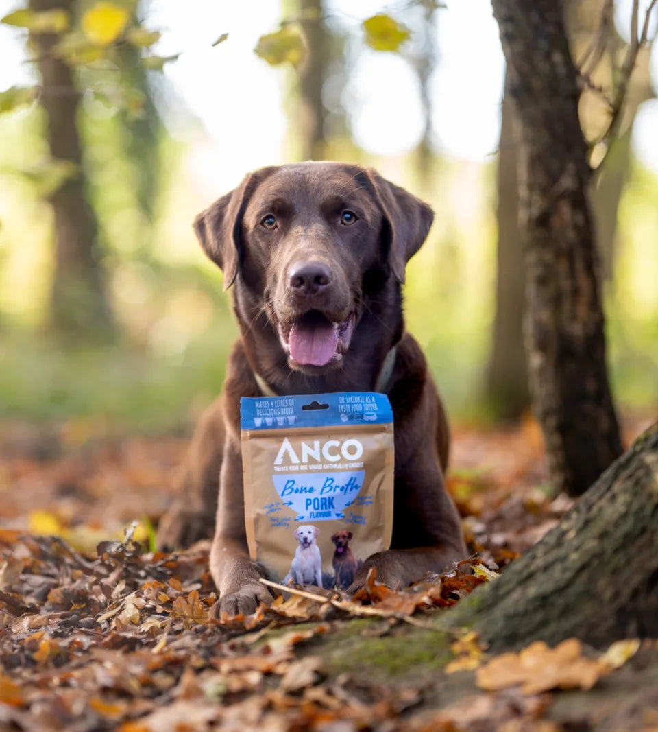 Anco Bone Broth for Dogs