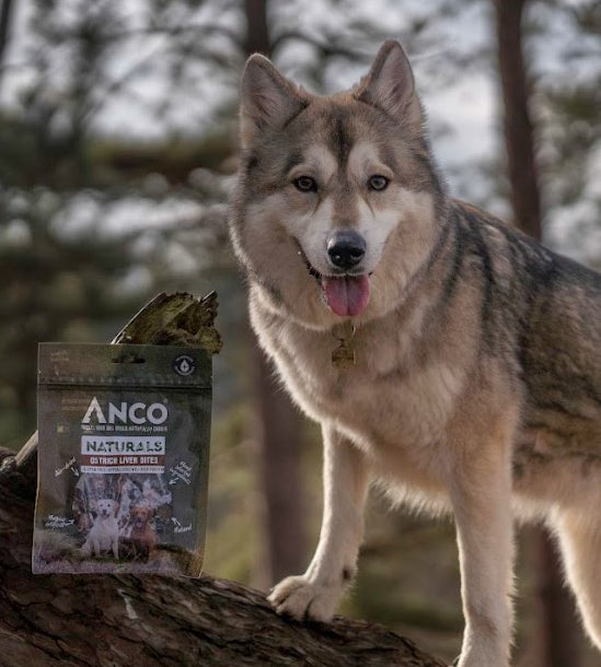 Anco Naturals Ostrich Liver Bites (100g)