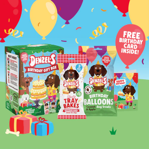 Denzel's Birthday Gift Box for Dogs