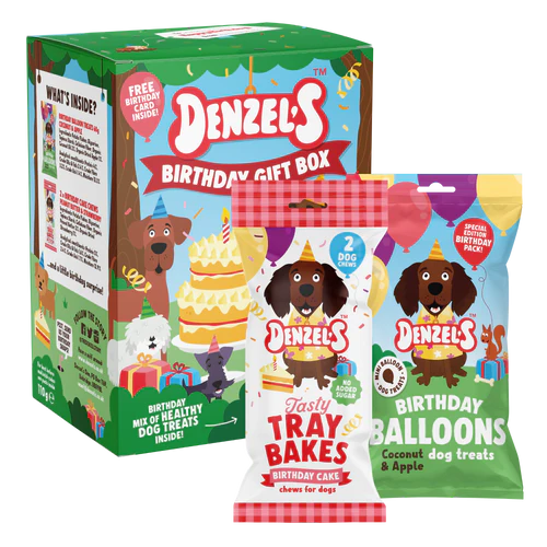 Denzel's Birthday Gift Box for Dogs