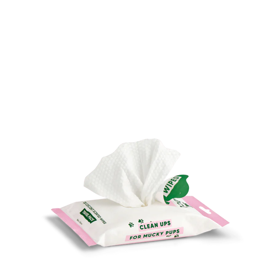 Beco Travel Dog Wipes