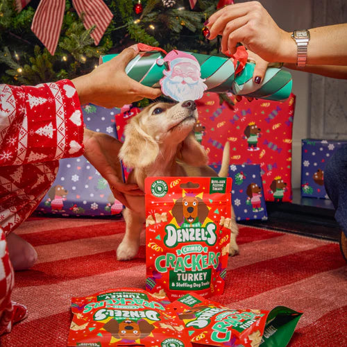 Denzel's Crimbo Crackers Dog Treats