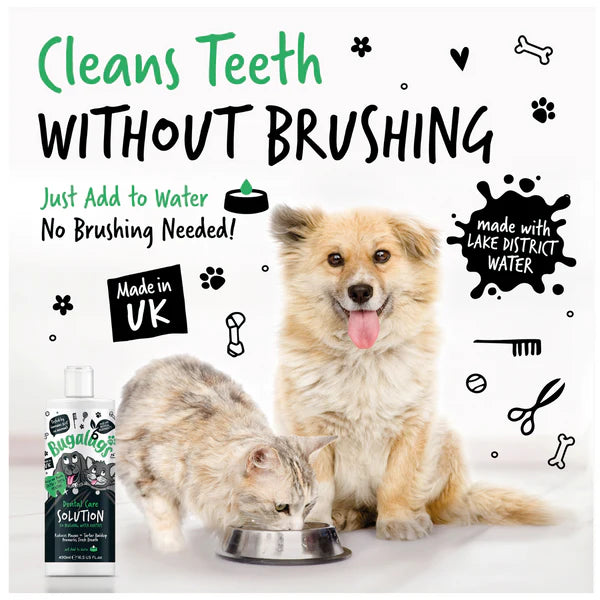 Bugalugs Dental Care Water Additive for Cats and Dogs (250ml)