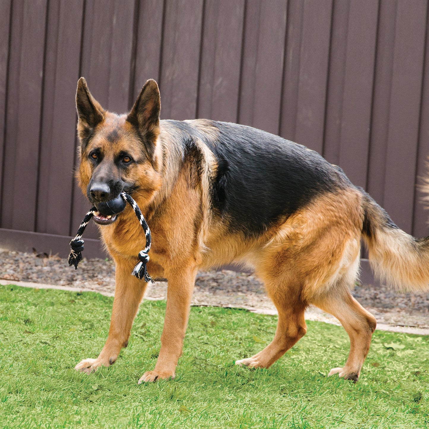 KONG Extreme Ball with Rope (Large)