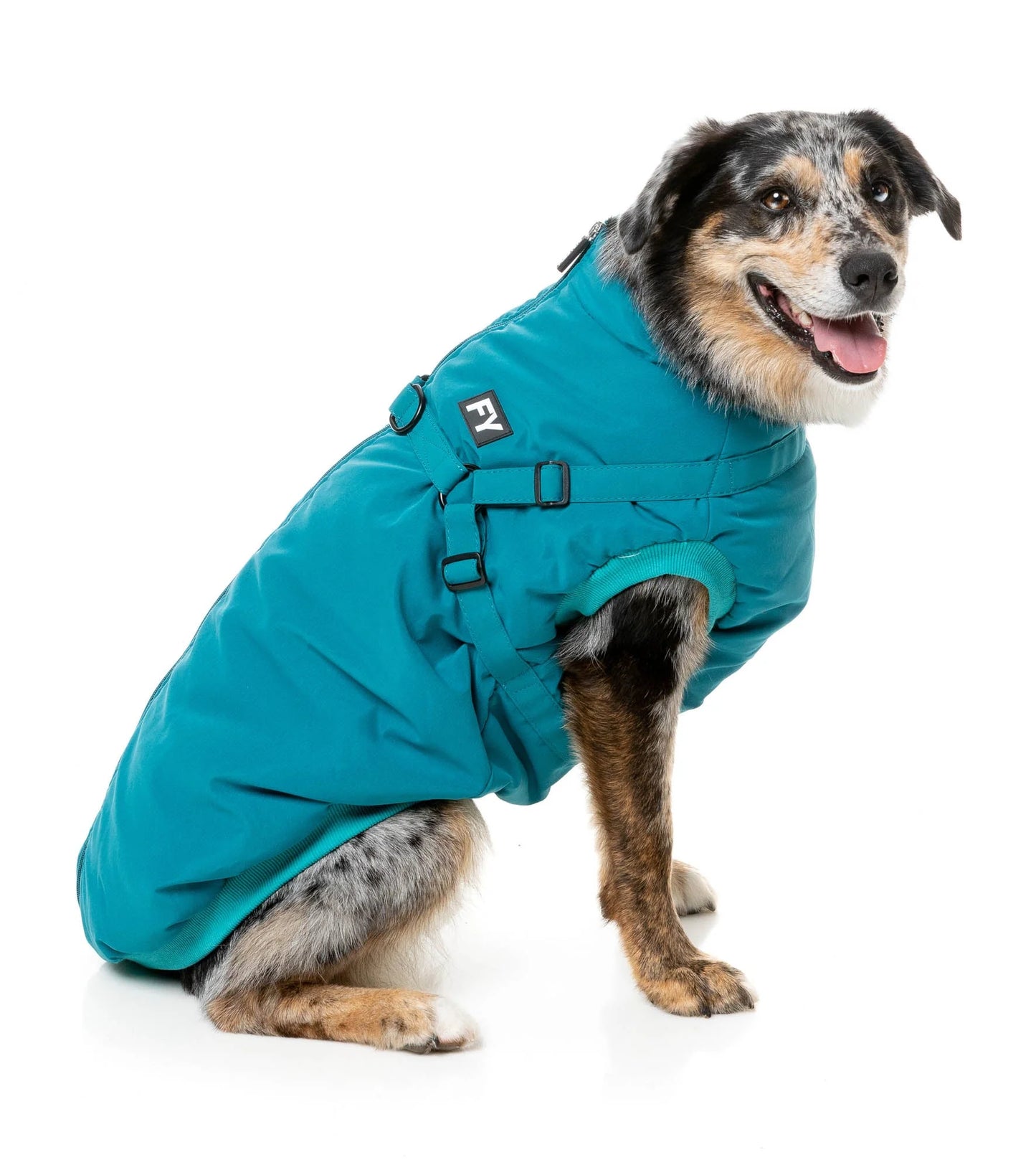 FuzzYard Life Dog Coats Flash Jacket