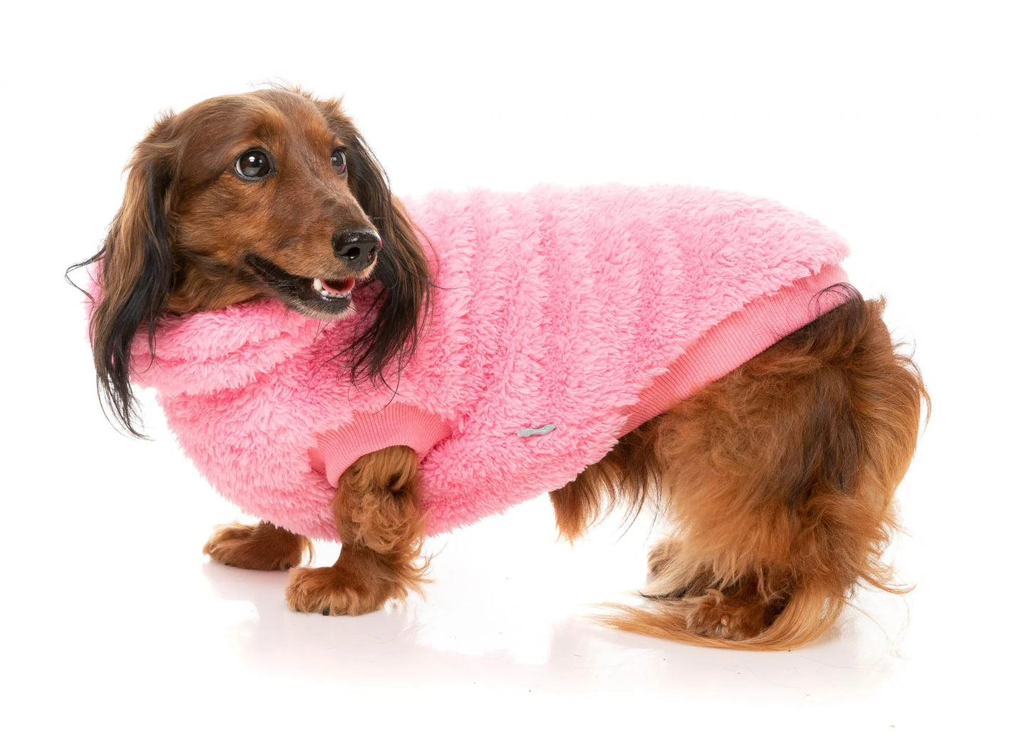 FuzzYard Life Turtle Teddy Sweater
