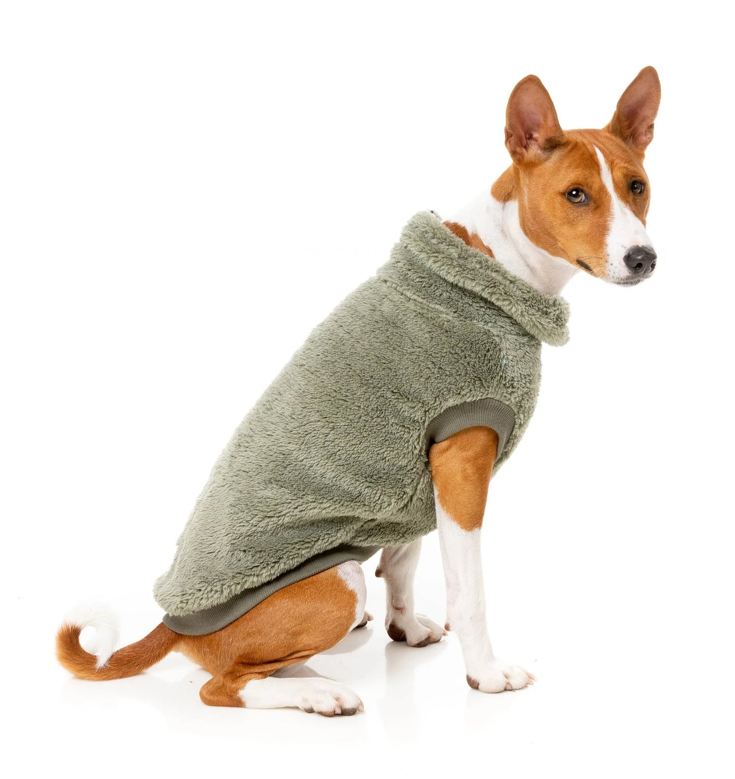 FuzzYard Life Turtle Teddy Sweater