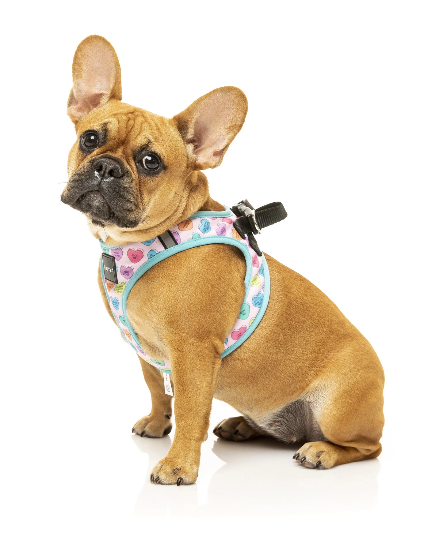 FuzzYard Life Candy Hearts Step In Dog Harness