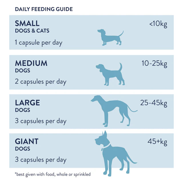 Dorwest Probiotic Plus for Dogs (100 tablets)