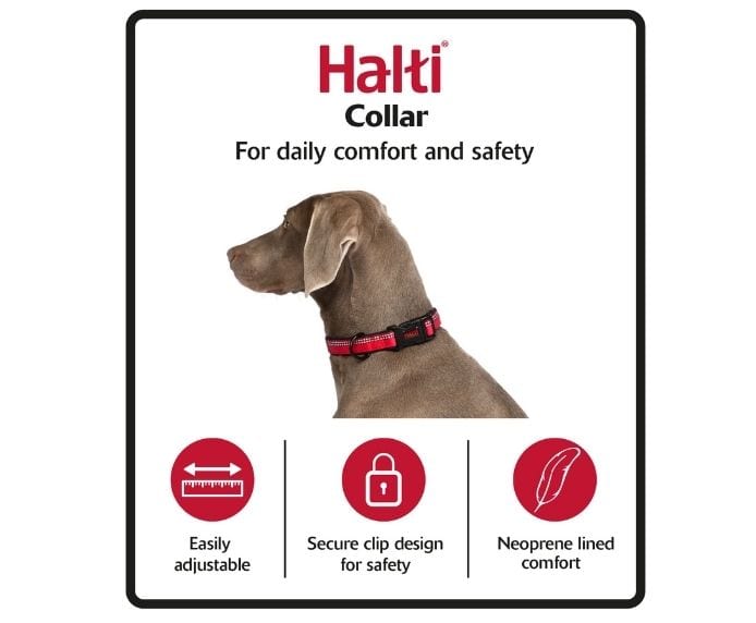 Halti Comfort Dog Collar