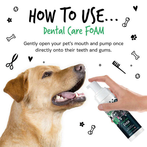 Bugalugs Dental Care Foam for Cats and Dogs (200ml)