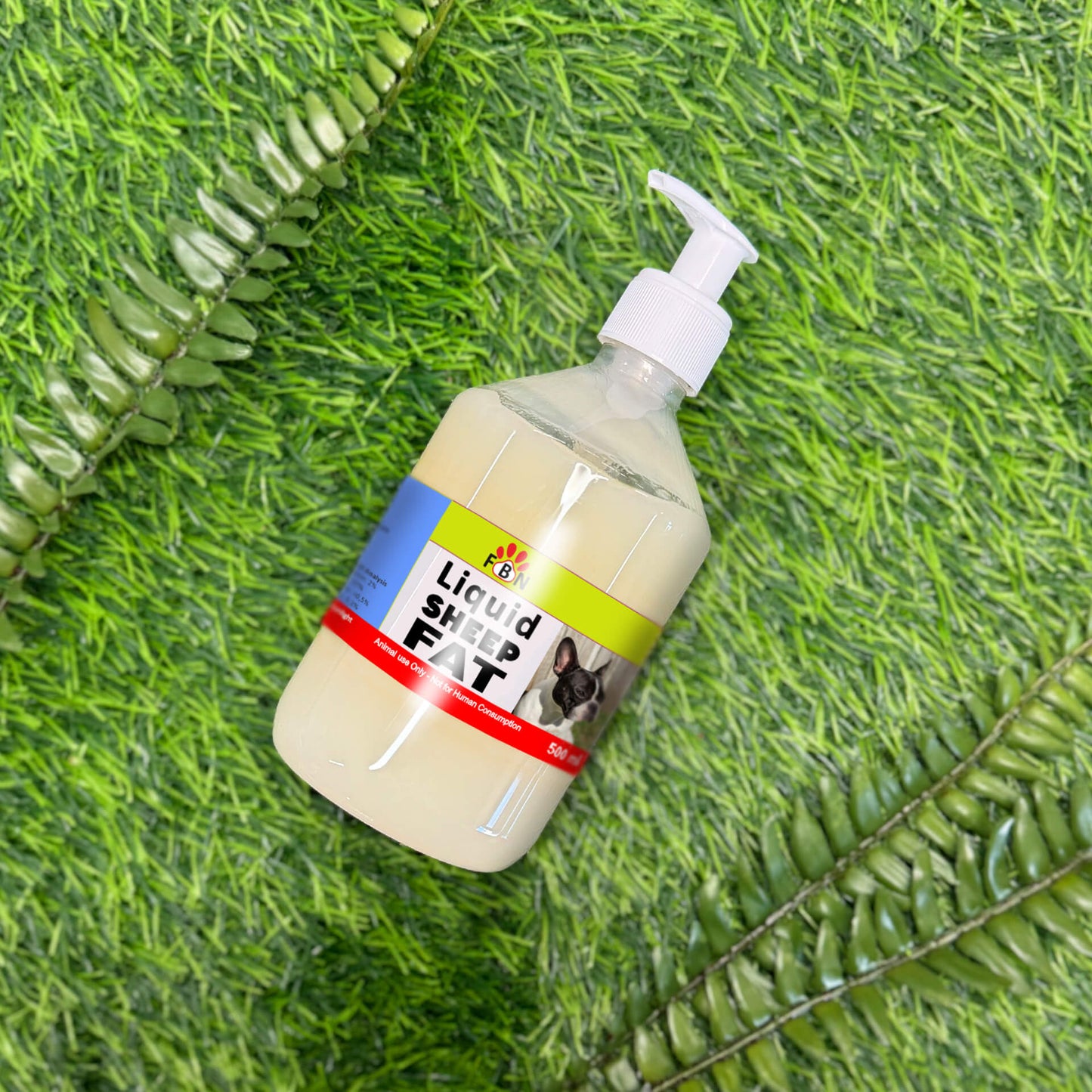 Liquid Sheep Fat
