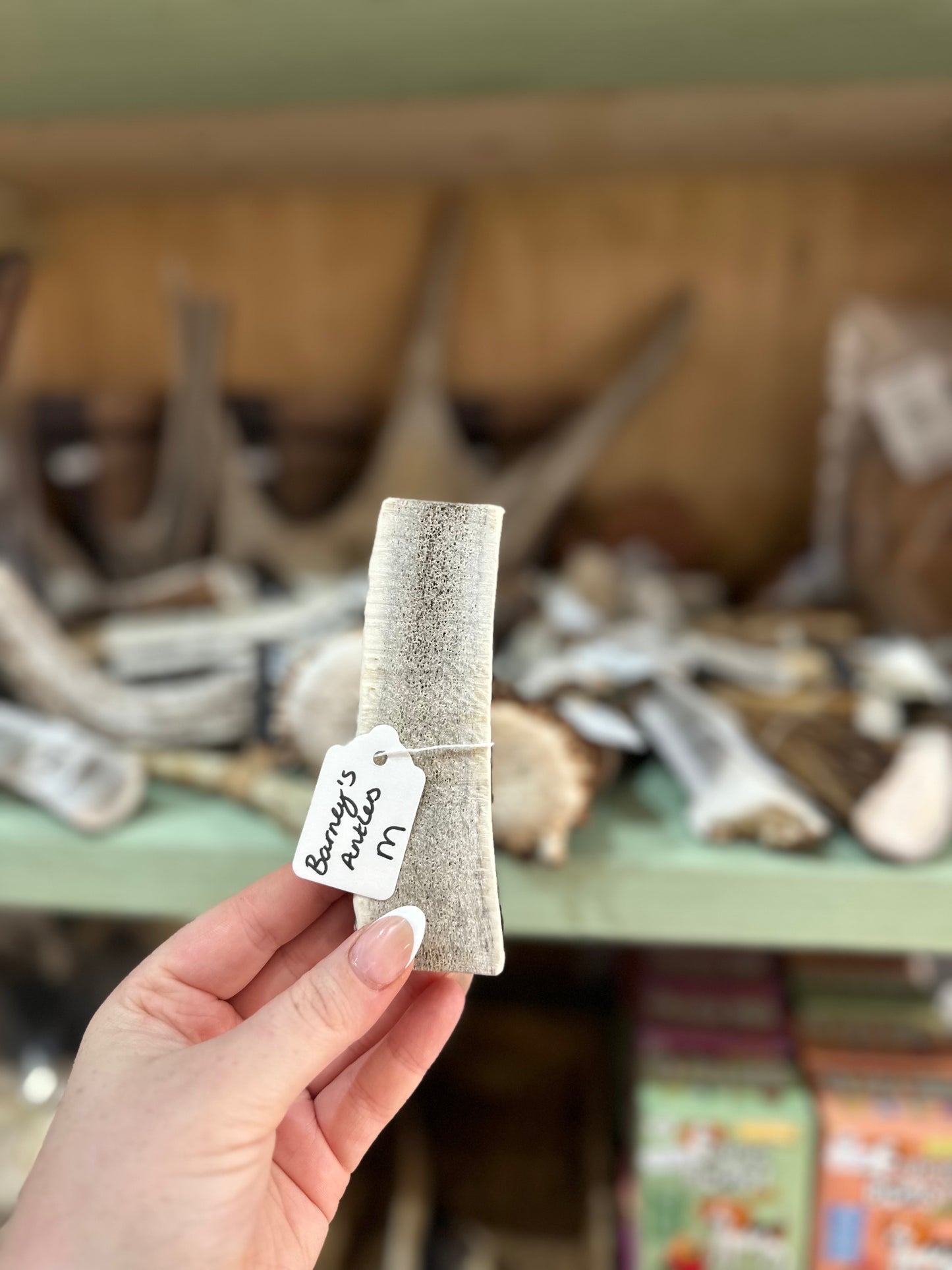 Barney's Antlers Split