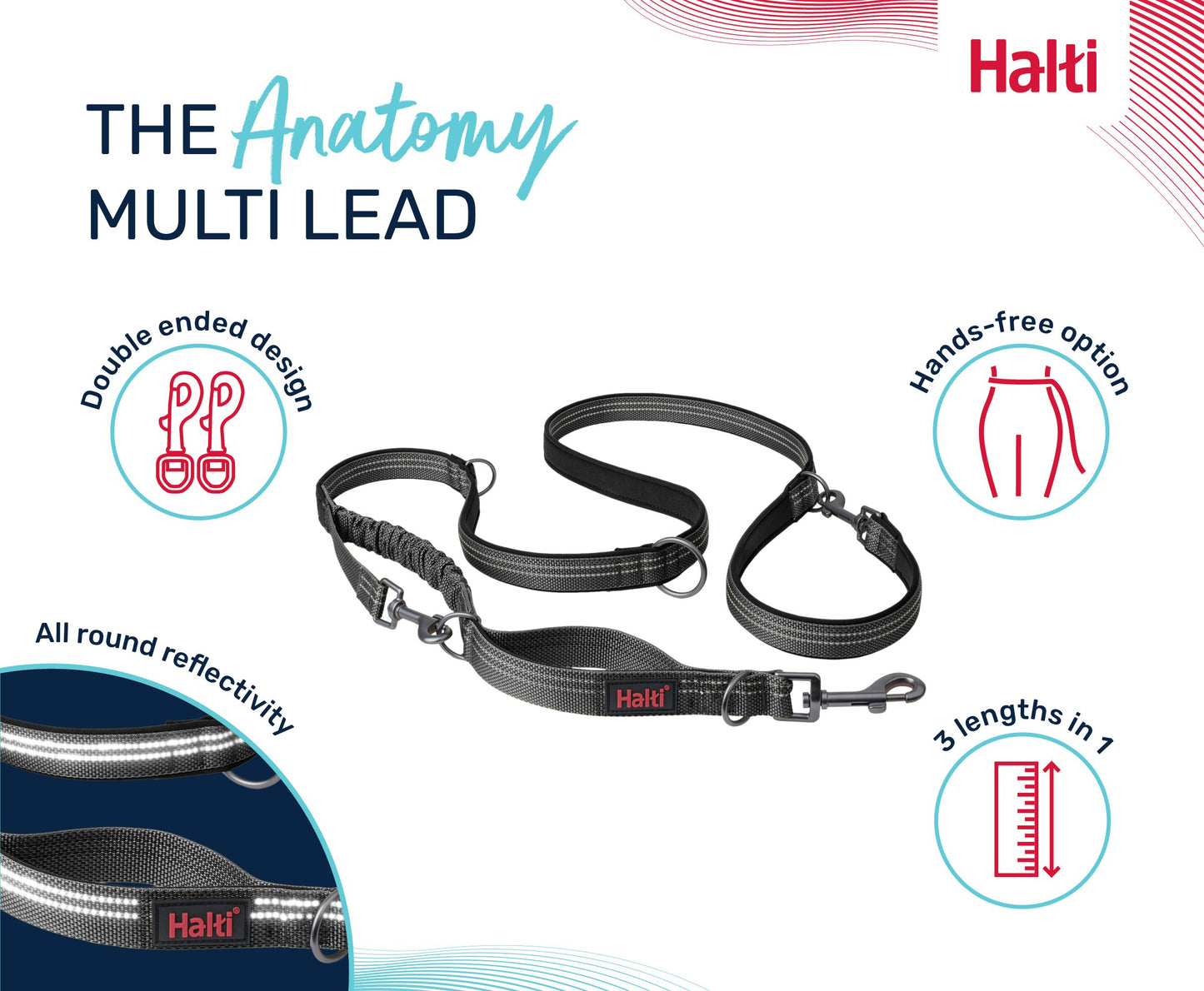 Halti Anatomy Multi Lead