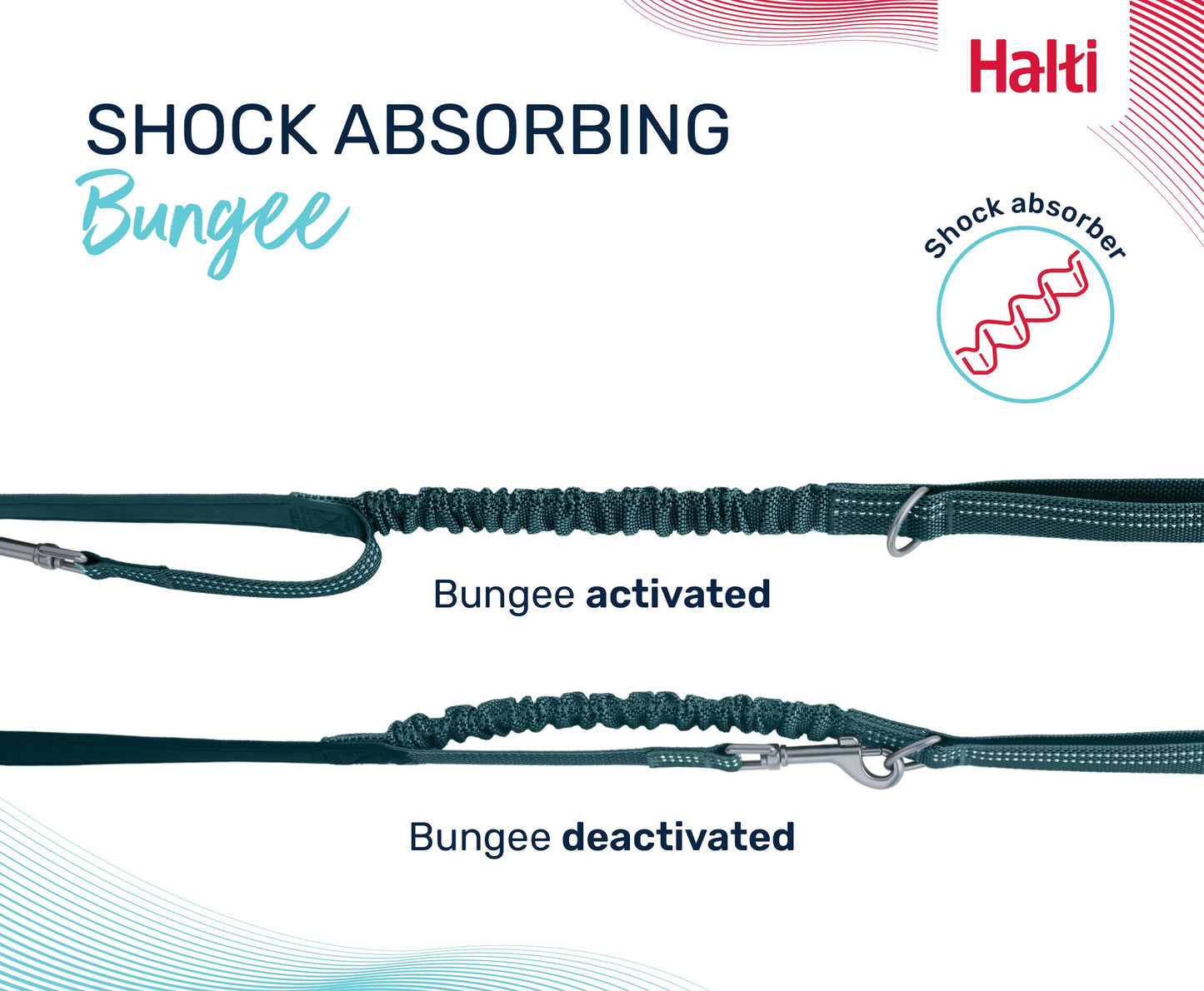 Halti Anatomy Multi Lead