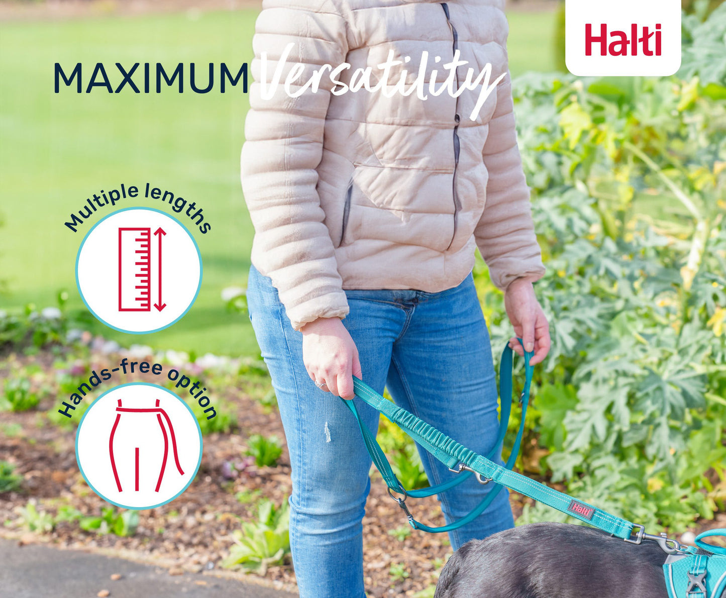 Halti Anatomy Multi Lead