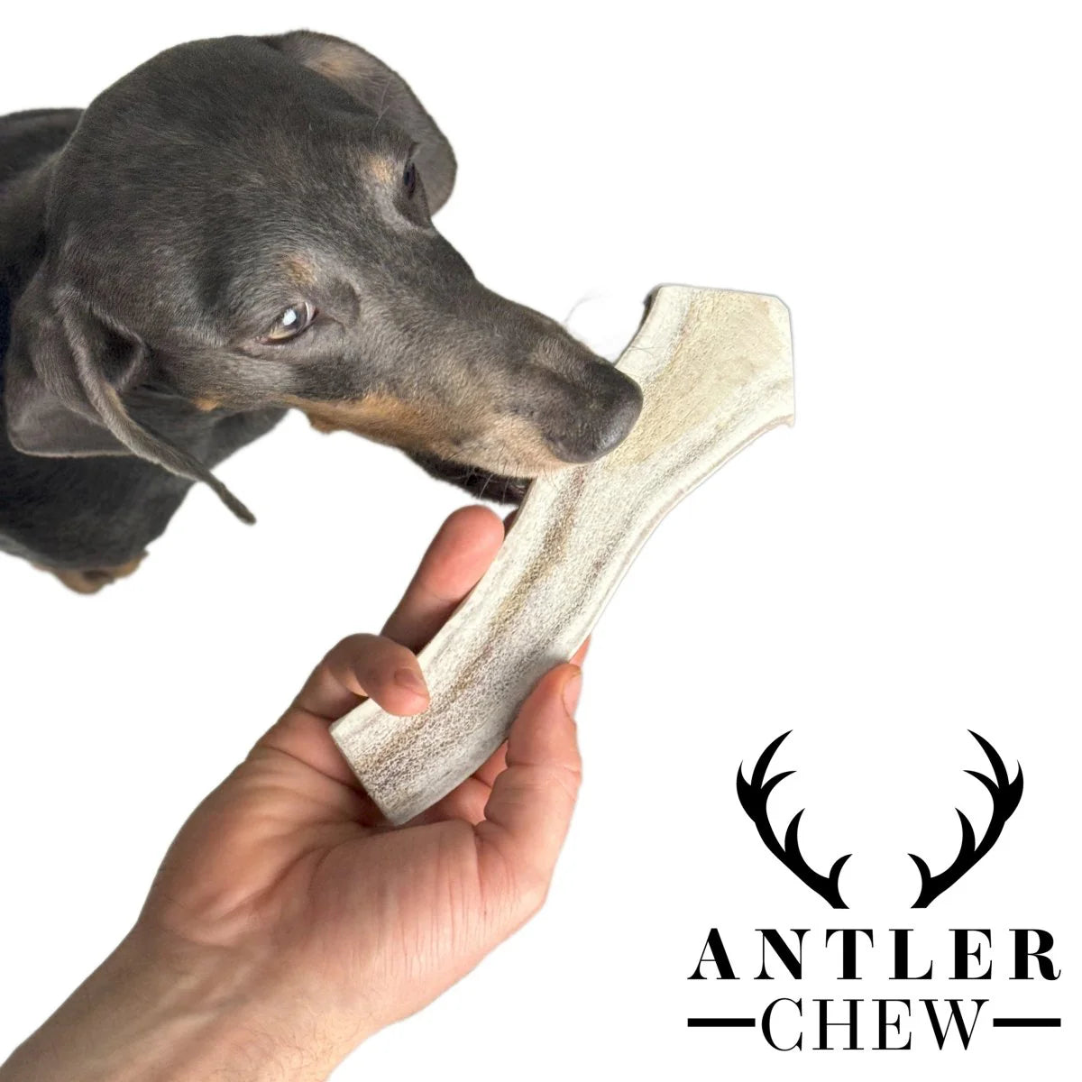Split Deer Antler Chew