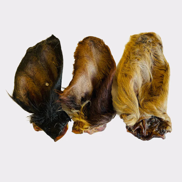 Large Hairy Cow Ears
