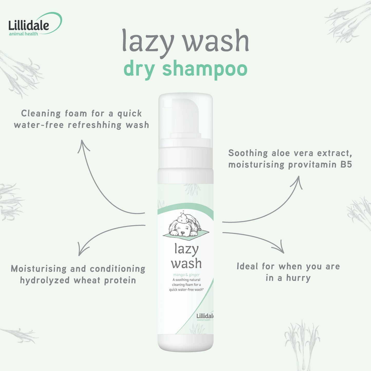 Lillidale Lazy Wash for Dogs (200ml)