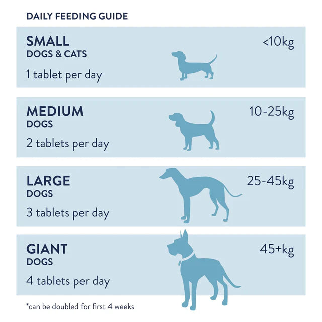 Dorwest MoveWellia® for Cats and Dogs (100 tablets)
