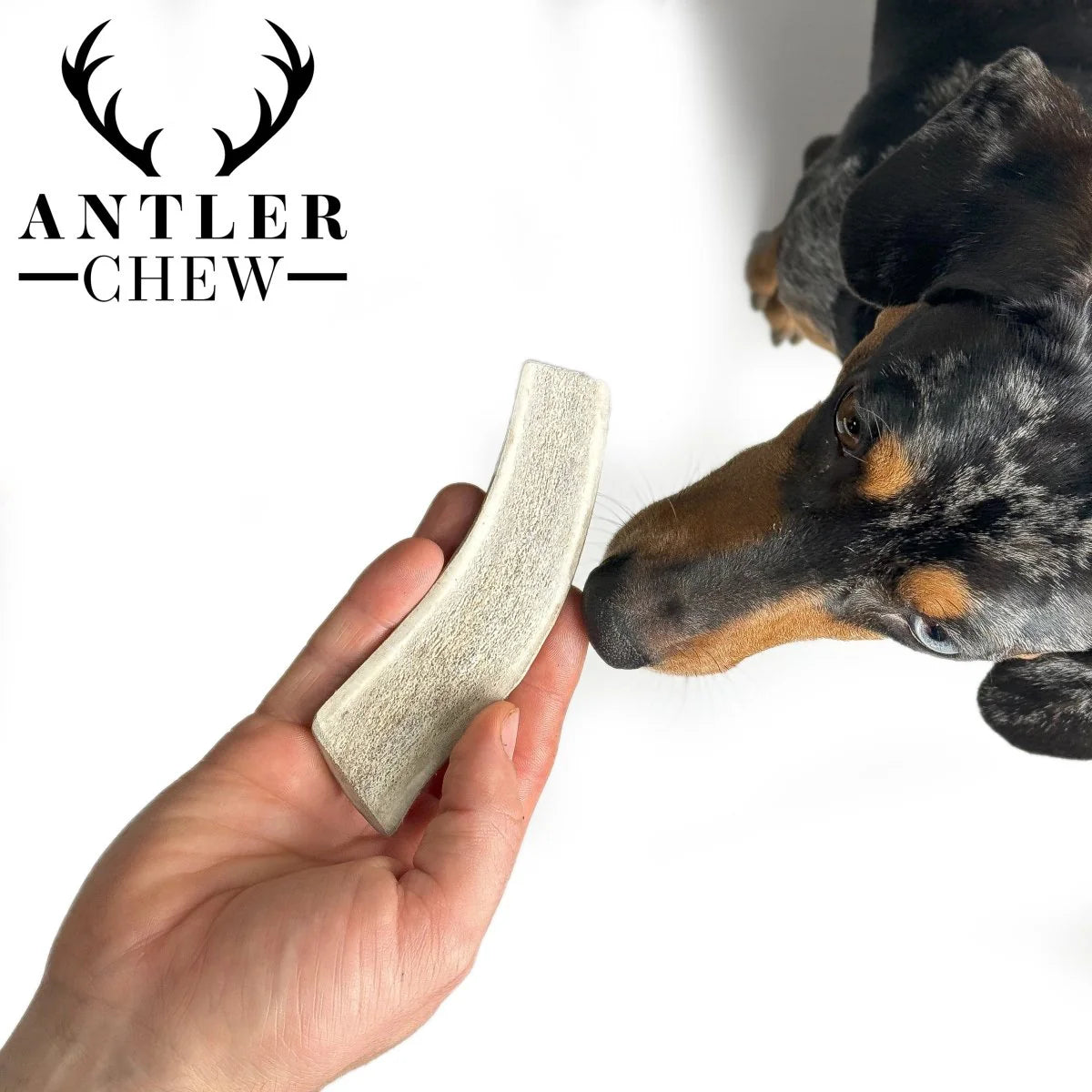 Split Deer Antler Chew