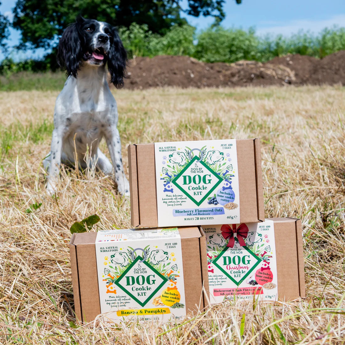 Dog By The Hob Cookie Making Kit