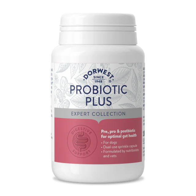 Dorwest Probiotic Plus for Dogs (100 tablets)