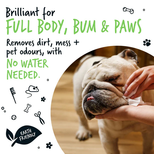 Bugalugs Travel Pet Wipes (Pack of 20)