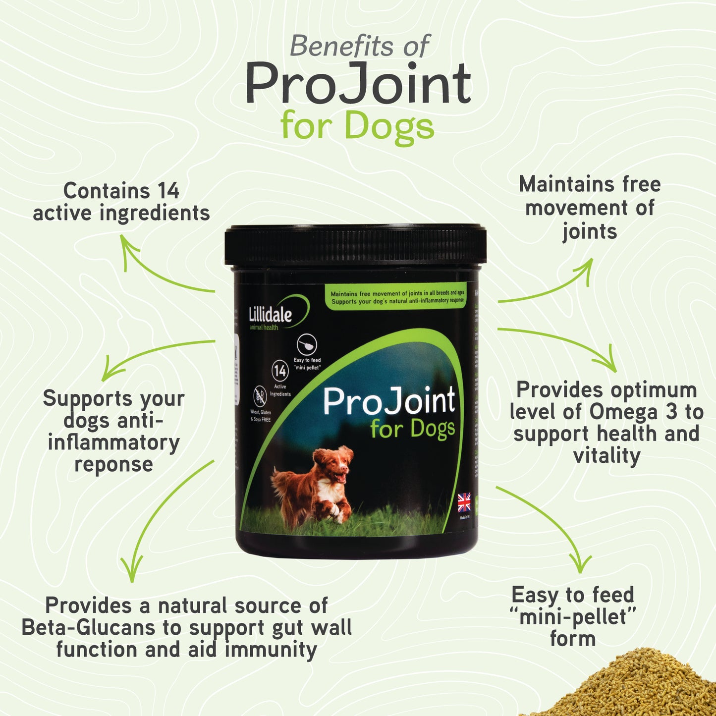 Lillidale Pro Joint for Dogs