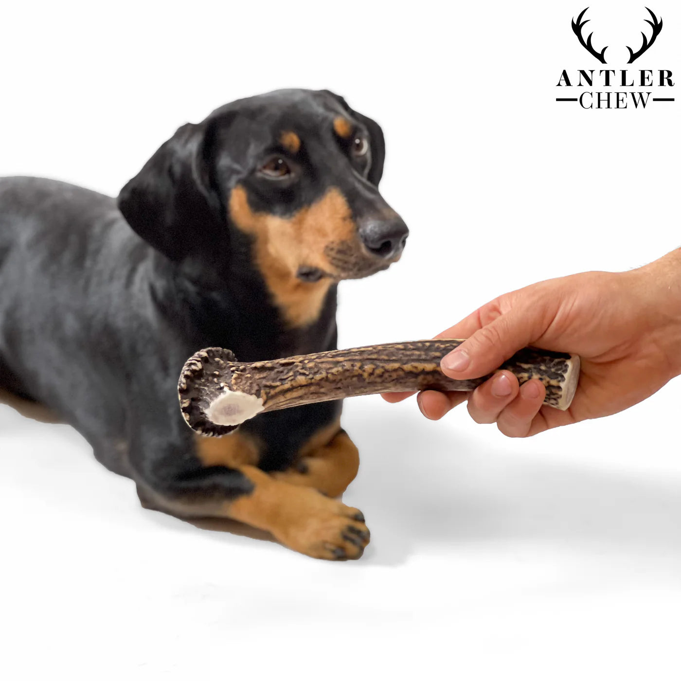 Deer Antler Chew