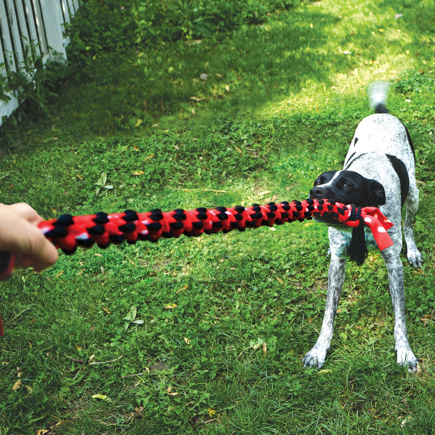 KONG Signature Rope 20"