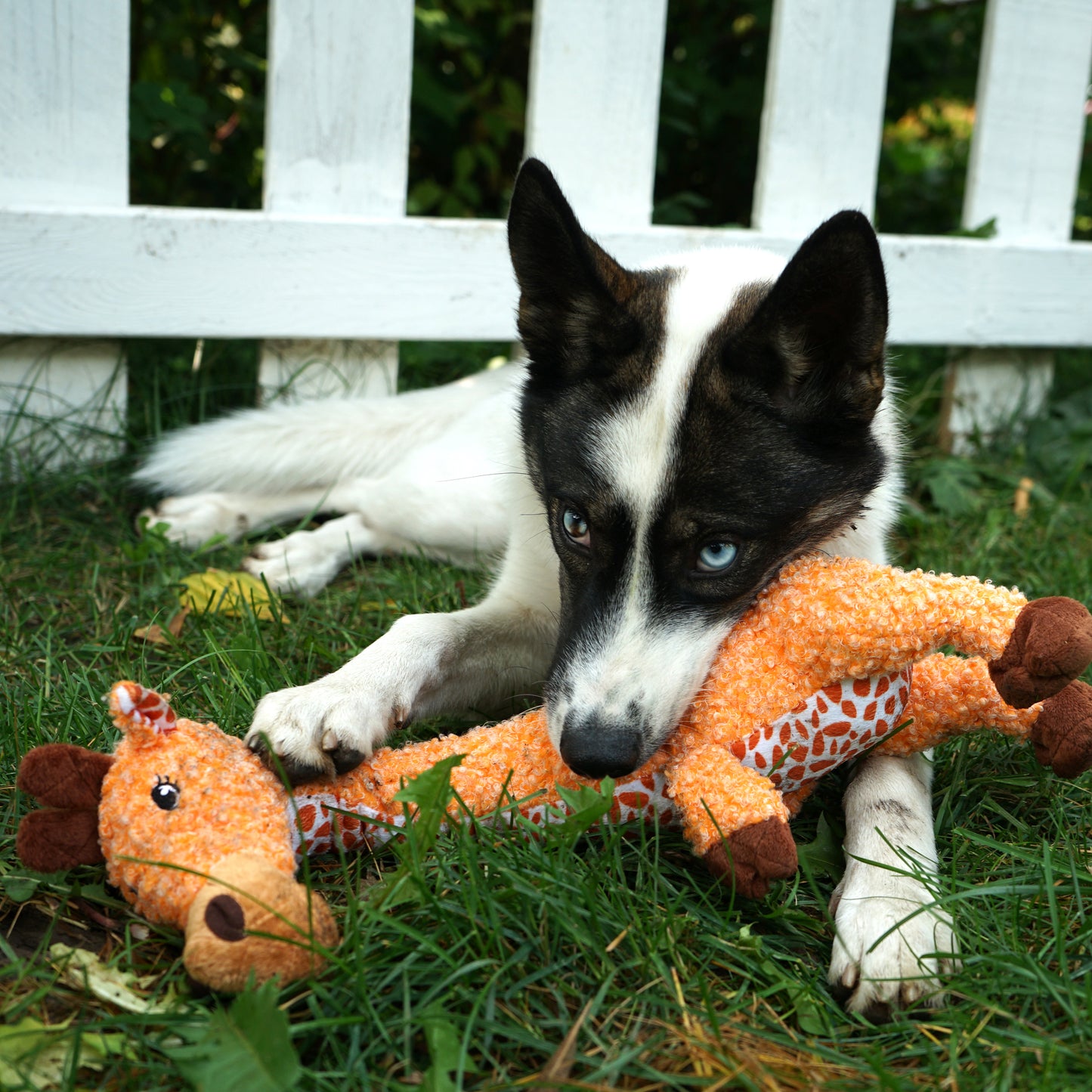 KONG Shakers Luvs Giraffe Large