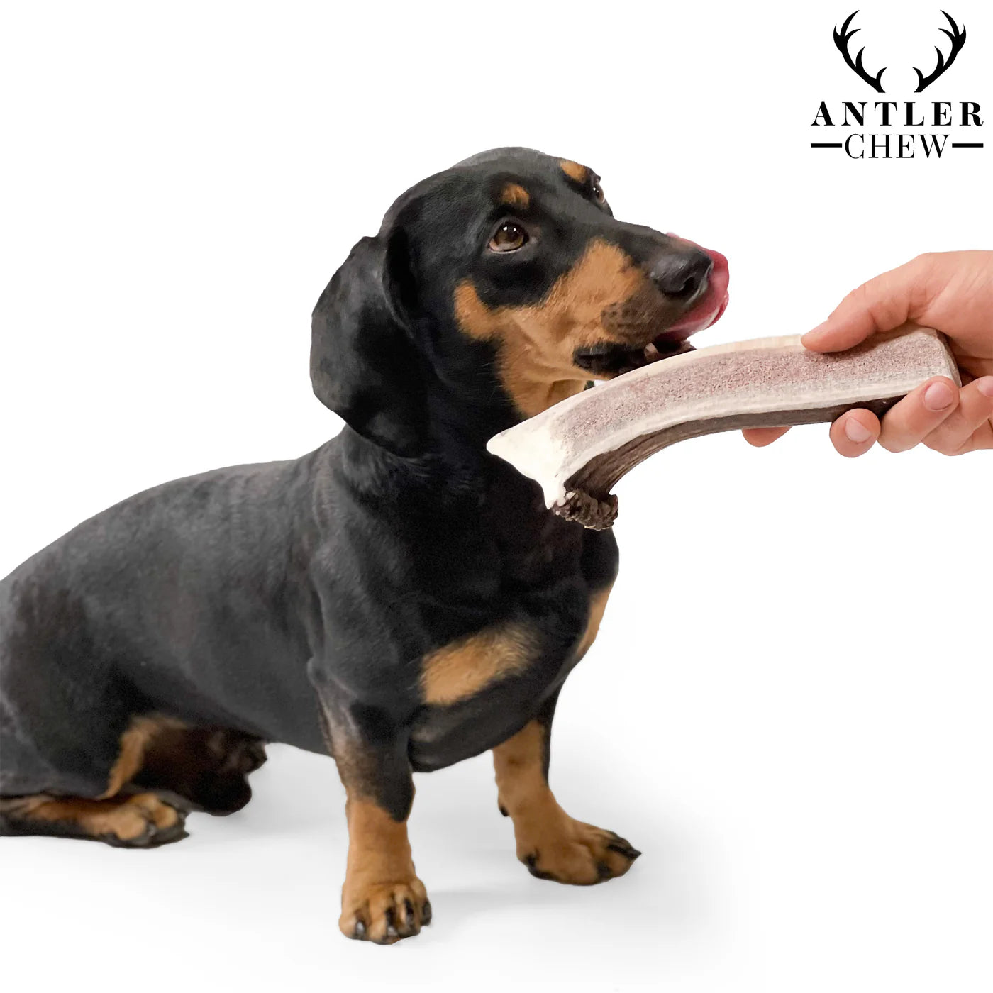 Split Deer Antler Chew