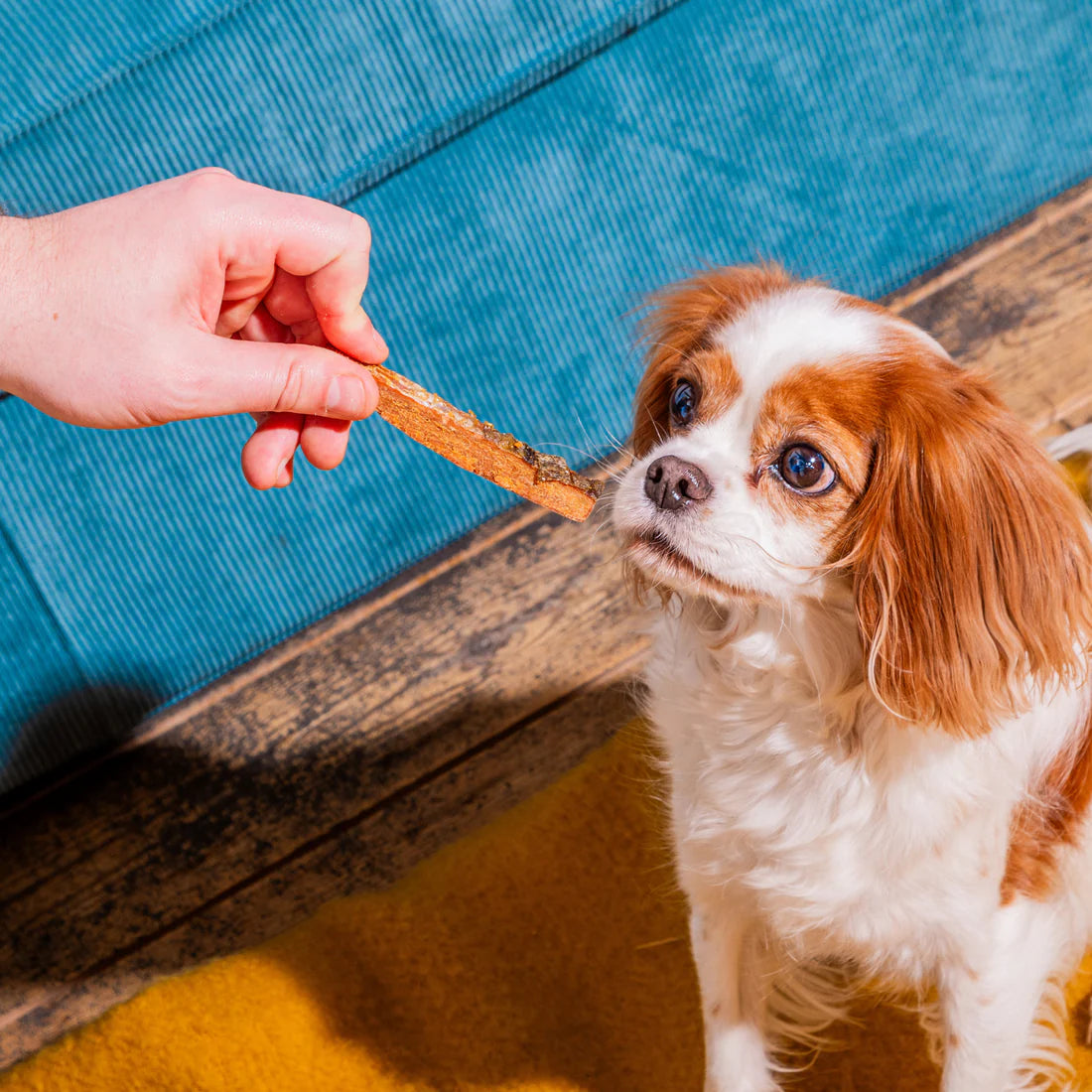 Natural Chews Salmon Skin Strips (300g)