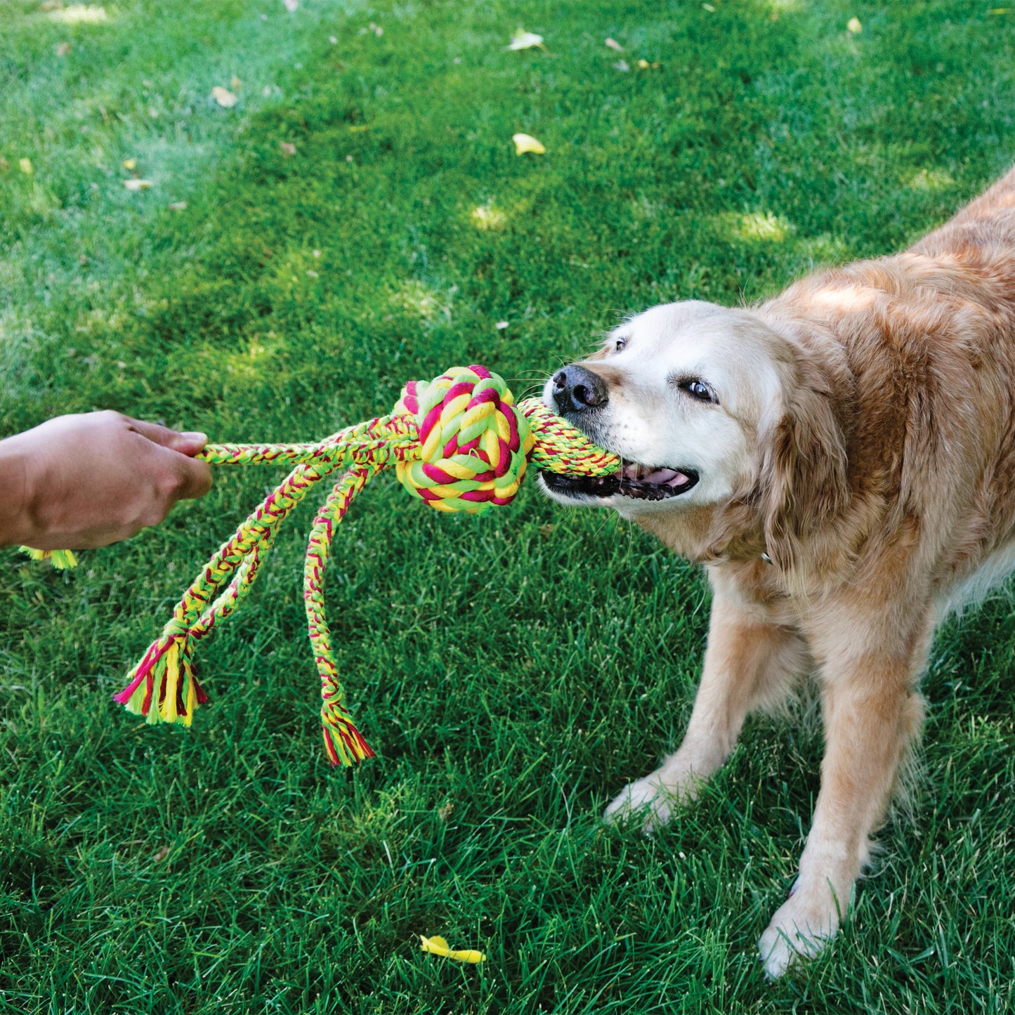 KONG Wubba Weaves with Rope (Large)