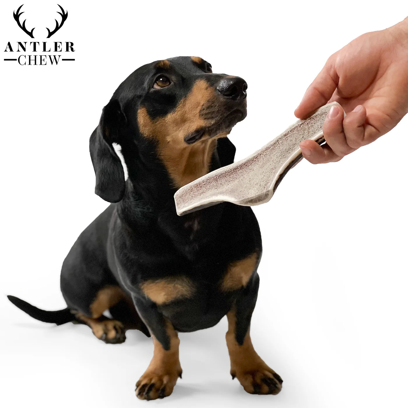 Split Deer Antler Chew
