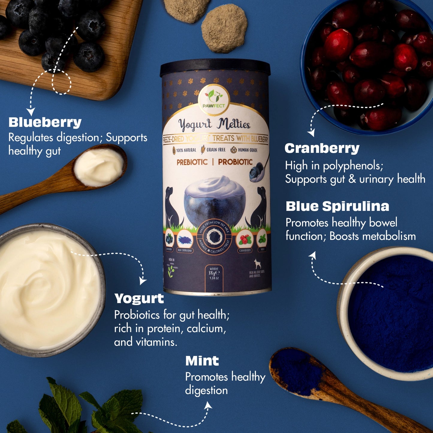Pawfect Yogurt Melties Blueberry (38g)