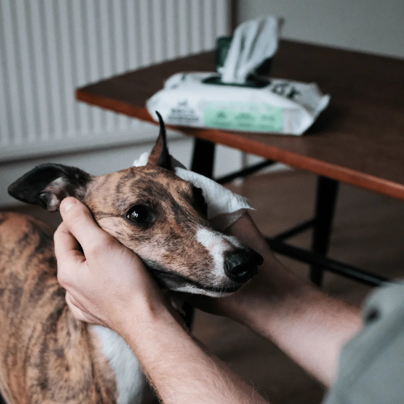 Beco Dog Wipes