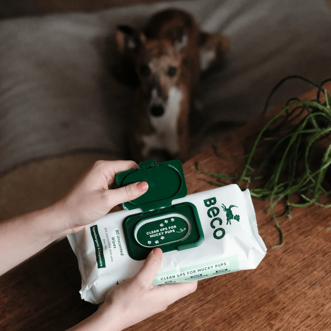 Beco Dog Wipes