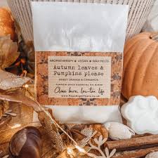 Paws Right There Wax Melt (Autumn Leaves and Pumpkin Spice)