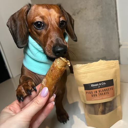 Hugo & Co Pigs in Blankets Dog Treats (80g)