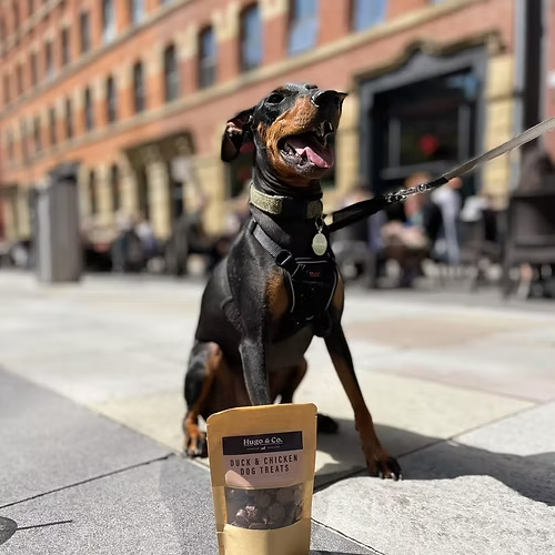 Hugo & Co Duck & Chicken Dog Treats (75g)