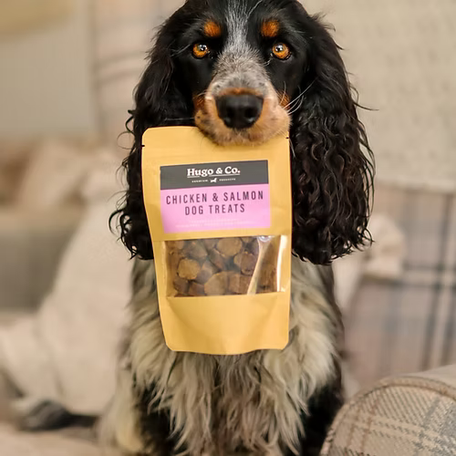Hugo & Co Salmon & Chicken Dog Treats (75g)
