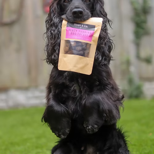 Hugo & Co Black Pudding Dog Treats (75g)